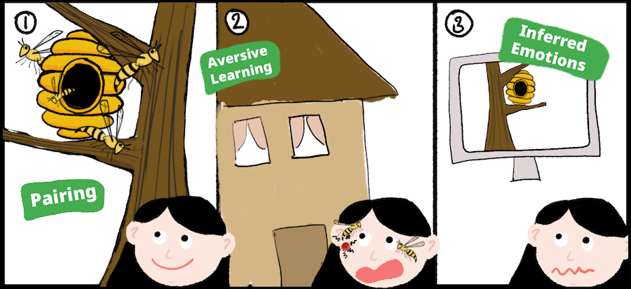 cartoon showing how inferred emotions are learned