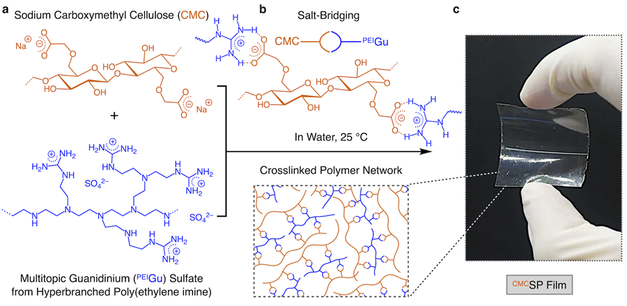 schematic for forming the cellulose-based plastic film