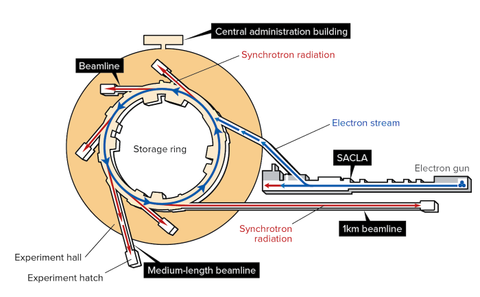 Image of SPring-8-II and SACLA