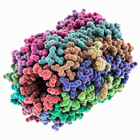 image of molecular model of ATP synthase