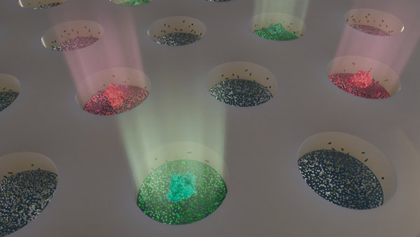 image of silver nanoparticles in microwells