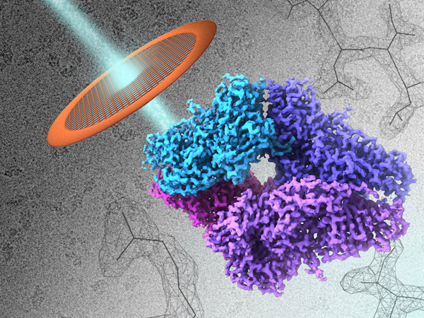 image of electron beams and biomolecules in cryo-electron microscopy