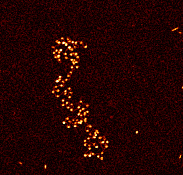 image of chromatin 