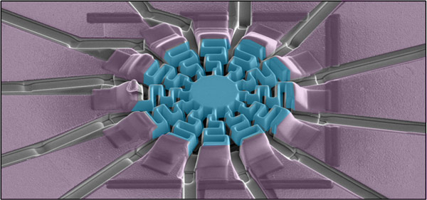 image of the device to measure the transport properties of their metallic p-wave magnet