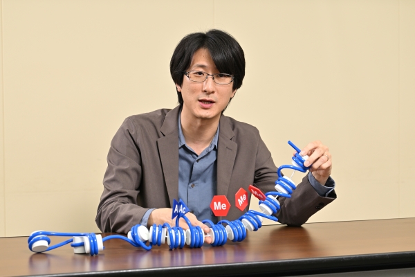 image of Azusa Inoue explaining epigenome using a model