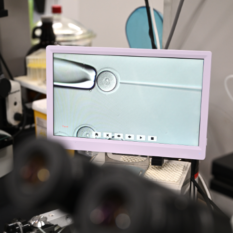 image of a screen that displays microinjection