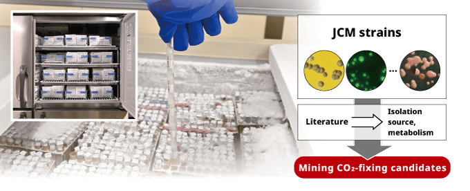 image of frozen microbial strains