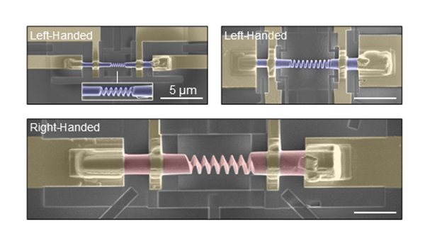 Scanning electron microscopic images of the device