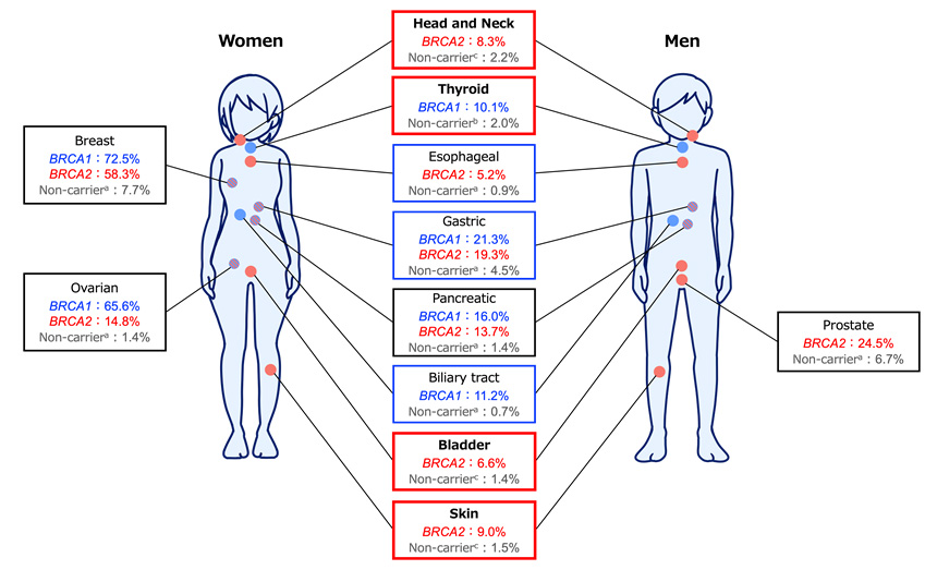 schematic of the carriers of pathogenic variants