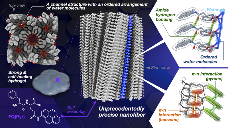schematic of the formation of self-healing hydrogel